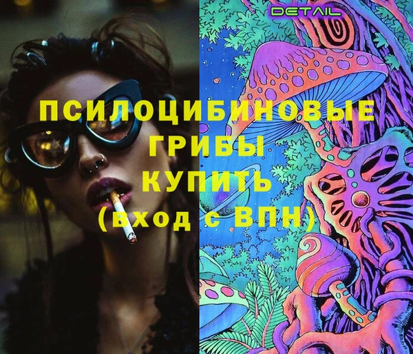 спиды Касимов