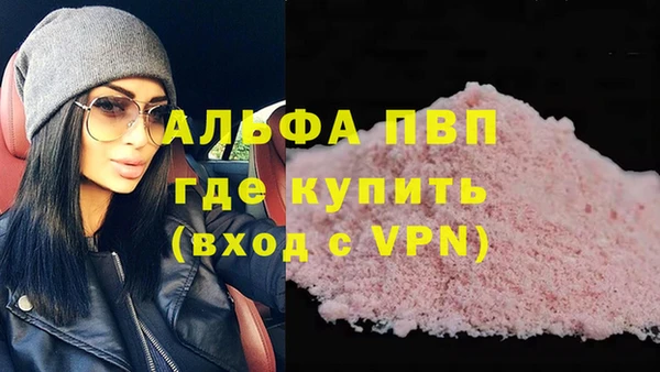 молекула духа Карпинск