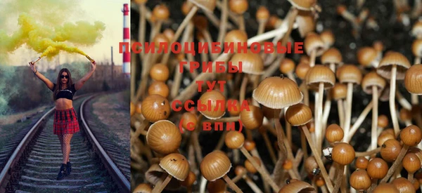 спиды Касимов